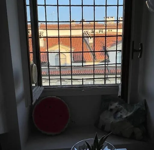 Piccola Mansardina Nel Cuore Di